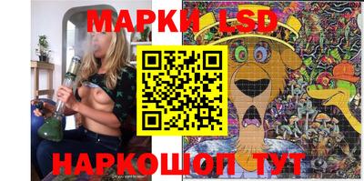 индика Будённовск