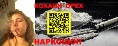 индика Будённовск