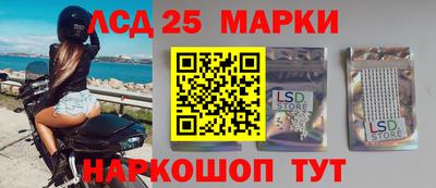 индика Будённовск