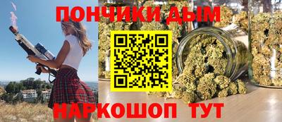 индика Будённовск