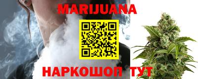 индика Будённовск