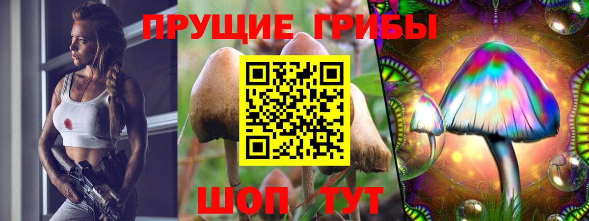Сибай  Псилоцибиновые грибы Magic Shrooms  Вход с VPN  Галлюциногенные грибы ЛСД 